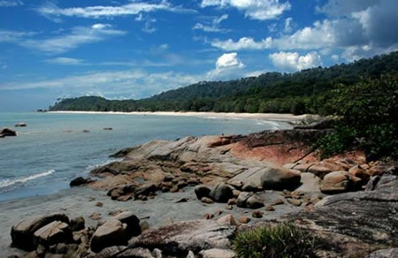 pantai pelindung