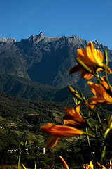 Sabah Mount Kinabalu
