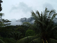 Santubong Jungle Trek